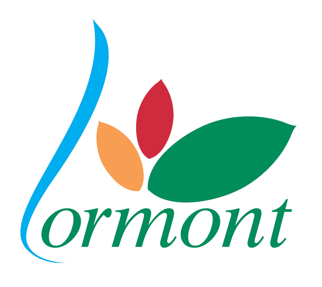 Logo_Mairie_Lormont